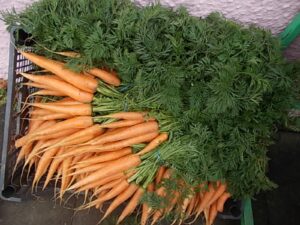 five star polytunnel bunches of our carrots