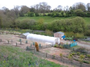 A polytunnel assembled on a nursery site for horticulture