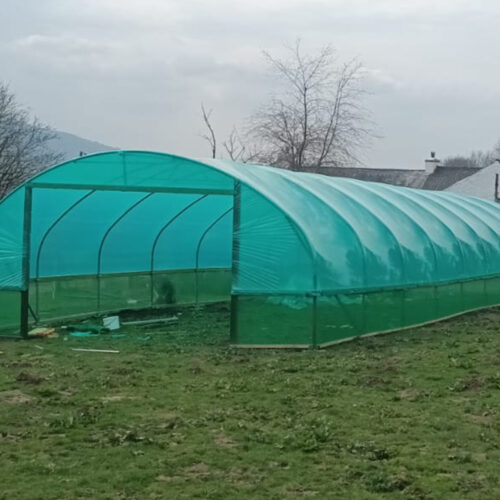 30ft long green polythene polytunnel livestock shelter in field