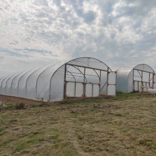 Five Star Polytunnels 24ft wide