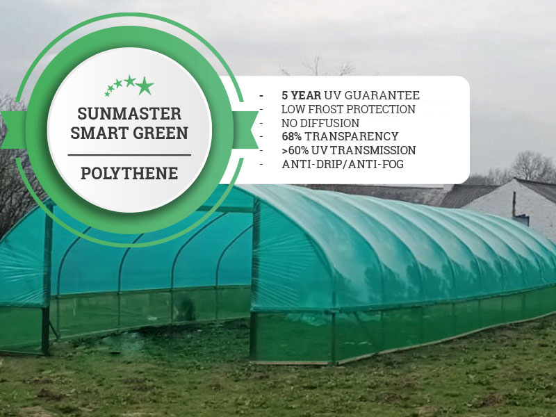 SunSmart-Green
